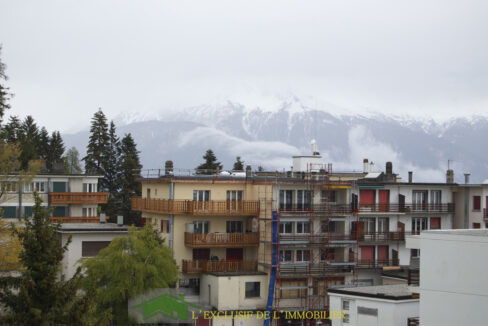 DSC_0015