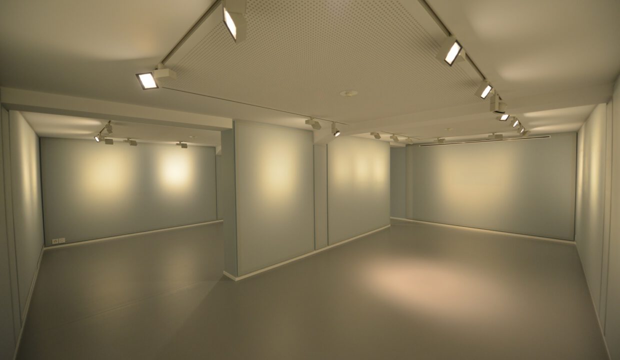 GALERIE DART