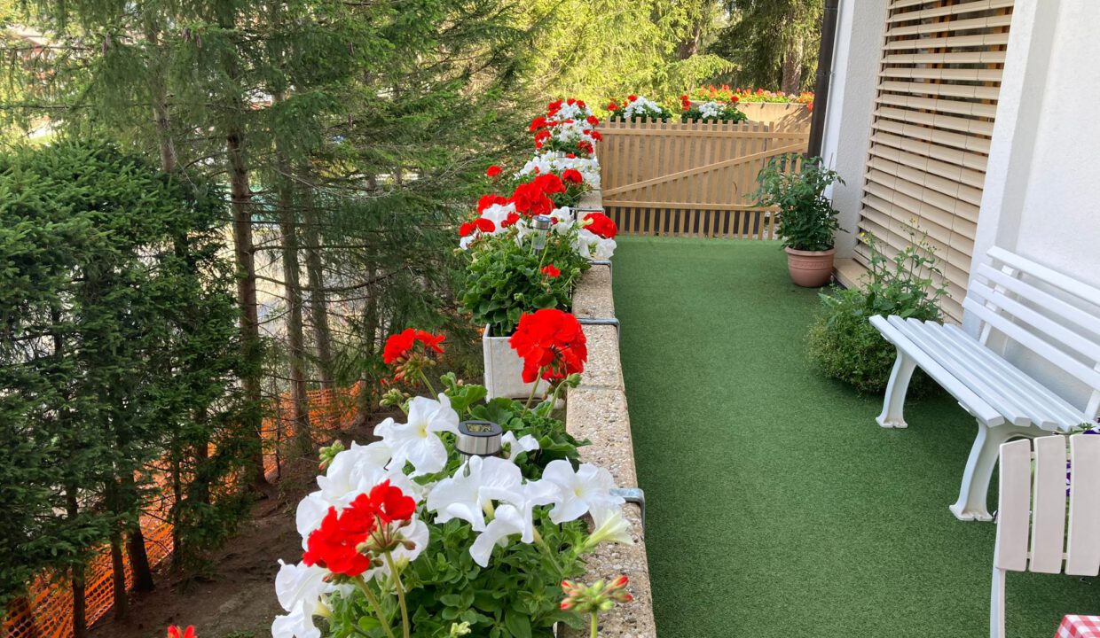 PHOTO-2025-12-10-15-15-08