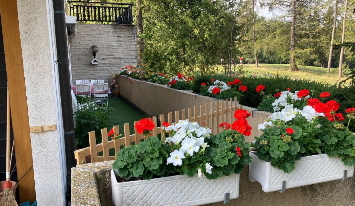 PHOTO-2025-12-10-15-15-08 2-Photoroom