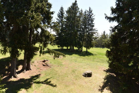 DSC_4059.002.002